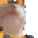 razeJAM