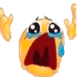 NOOO emote