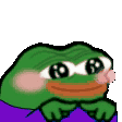 peepoShy emote