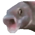 OOOO emote