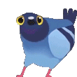 PigeonDance emote