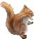 TwerkingSquirrel