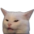 confusedCat emote