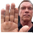 arnoldHalt emote