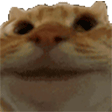 YesYes emote