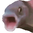 OOOO emote