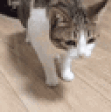 DIESOFCRINGE emote