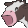 MOOOO