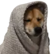 Cozy emote