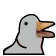 duckD emote