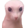 Bingus