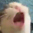 AAAA emote