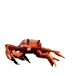 CrabDance emote