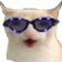 CatChest