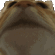 YesYesM emote