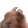 1x