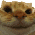 Sisi emote