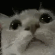 modCheck emote