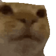 Awkward emote