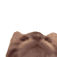 Tasty emote