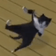 catDance