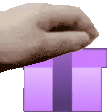 PETTHEGIFTERS emote