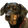 jermaOttoHD