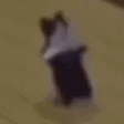 CatBreakDance emote