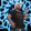 CedduDance
