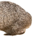daphBAT