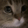 Meow