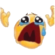 NOOO emote