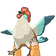 holdCucco