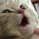 Pogcat