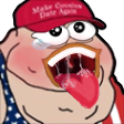 HOGO emote