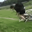 Faceplant emote