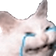 CatCry