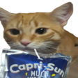 Sipping emote