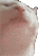 catJAM