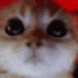 RAGEY emote