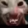 2x.webp