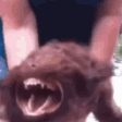 FERAL emote