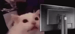 Flashbang emote