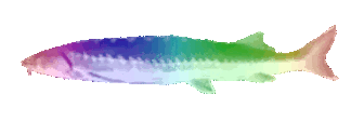 JoelPride emote