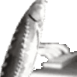 Joeling emote
