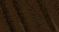 WhoAsked emote