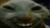 XDDD