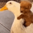 Huggies emote