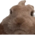 VIBEOFF emote