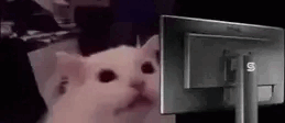 LightMode emote